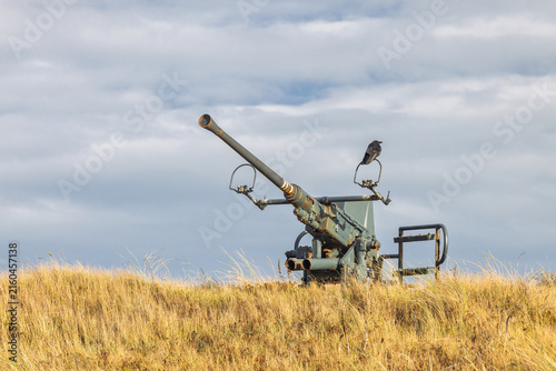 A solitary crow perches atop a field gun, its barrel pointing towards a dramatic cloudy sky above golden dry grass in a historic landscape. Ostend town in Belgium, Europe.