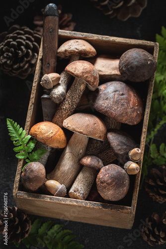 Wild and edible mushrooms in old wooden box.