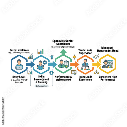 Career progression from entry level to manager showing skill development stages.