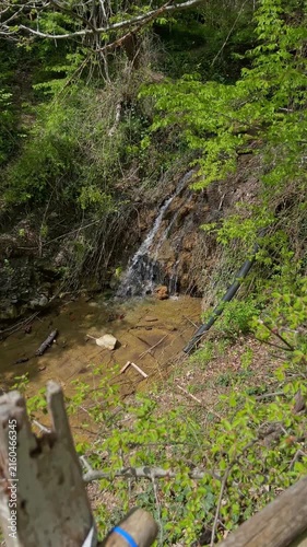 Vertical footage of a scenic woodland waterfall flowing over rocky terrain into a clear forest creek surrounded by vibrant spring vegetation. High quality 4k footage