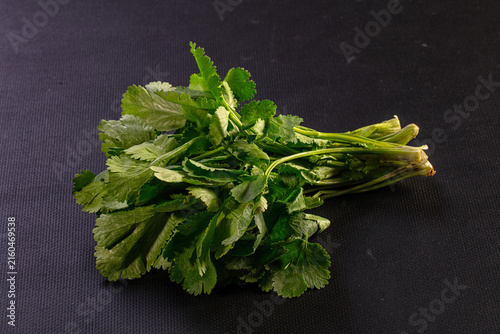 Fotografie Fresh cilantro bunch on dark textured surface