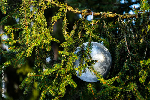 Silver bauble on green spruce branches