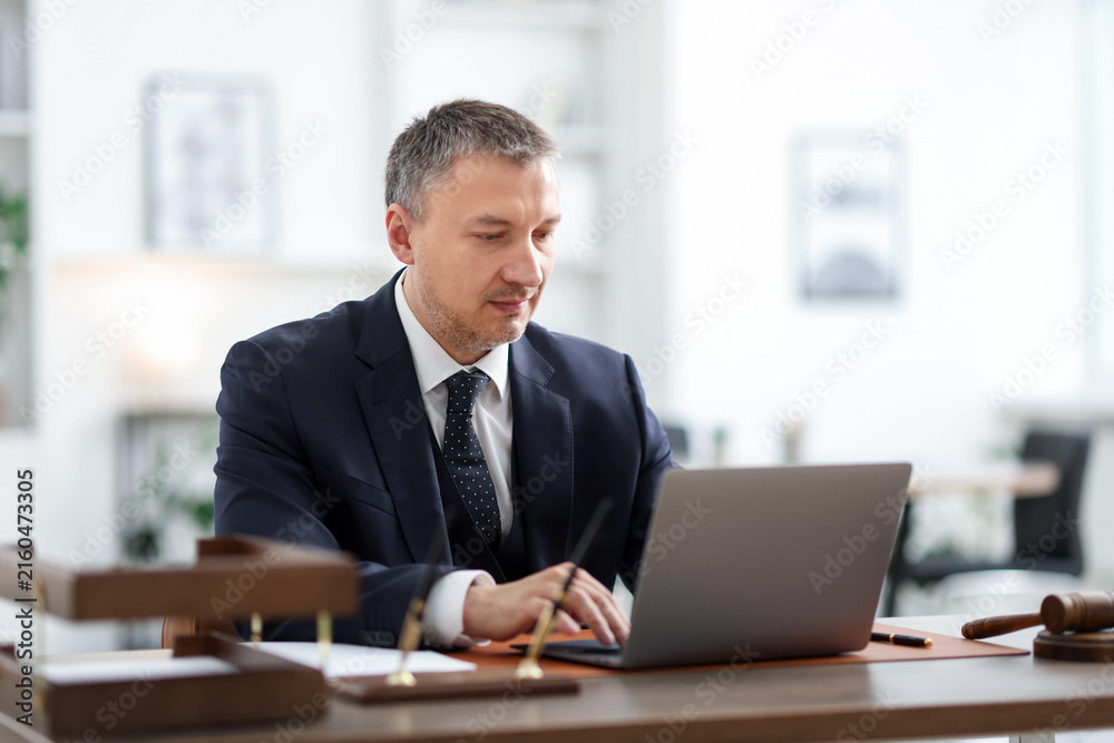 Fototapeta premium Lawyer working with laptop at wooden desk in office