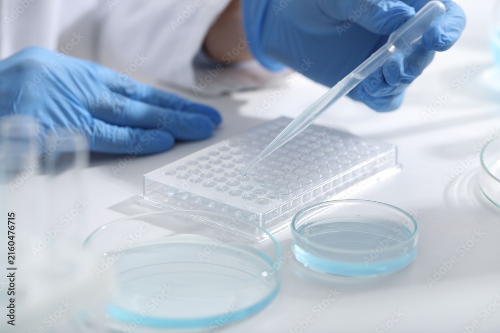 Fototapeta premium Scientist dripping sample into microplate at table in laboratory, closeup