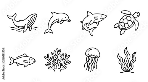 Photography Marine life icons featuring sea animals and ocean plants are illustrated in a minimalist style