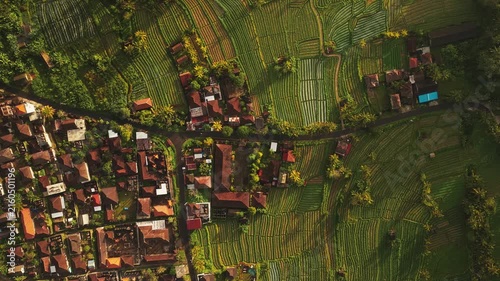 Aerial view of Sidemen Rice Terrace with lush green paddies and traditional village houses in Kecamatan Sidemen, Bali, Indonesia.