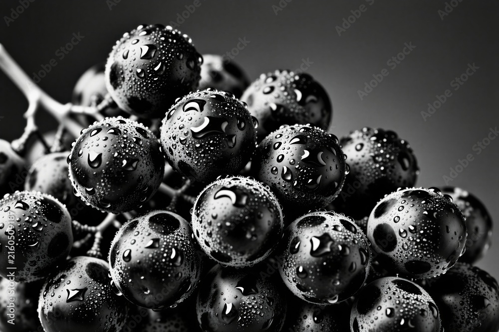 Naklejka premium Black, white closeup of fresh wet grapes with water droplets. Bunch of dark ripe berries sits on flat surface with moody shadows. Food photography shows texture, detail of organic fruit for healthy