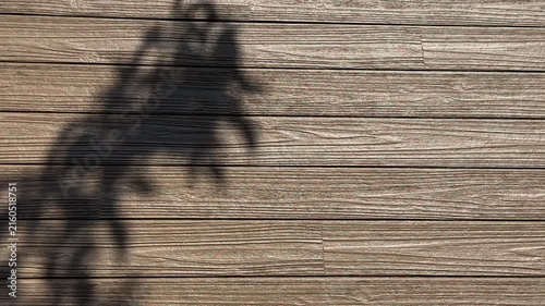 Swaying Botanical Shadows on Weathered Wood with Spacious Copy Space