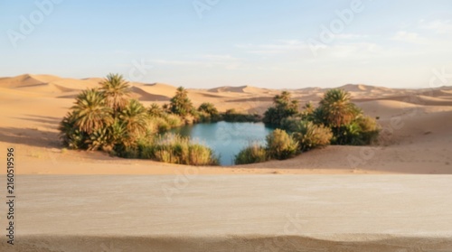 Desert Oasis Surrounded by Lush Palm Trees