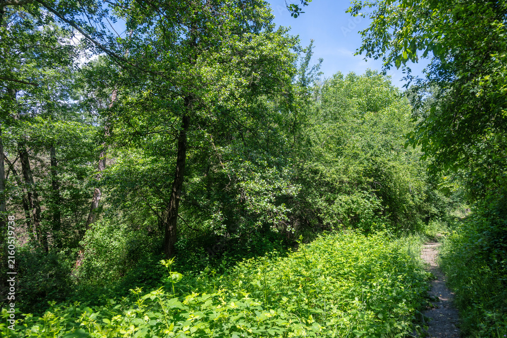 Fototapeta premium Landscape around Pancharevo lake, Bulgaria
