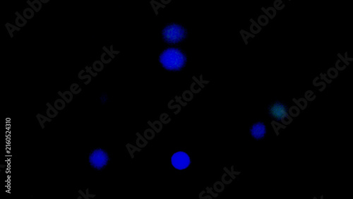 Title

Minimalist Abstract Blue Bokeh Light Orbs on Dark Black Background