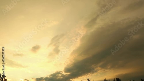 Timelapse video of dramatic golden moody sky with illuminated clouds, stormy formations, dark treetops at sunrise, cinematic atmospheric landscape background for nature. Travel, wallpaper, abstract