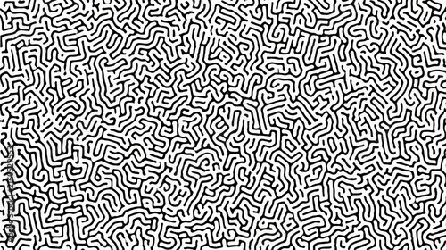 Abstract maze pattern detailed black and white organic background design
