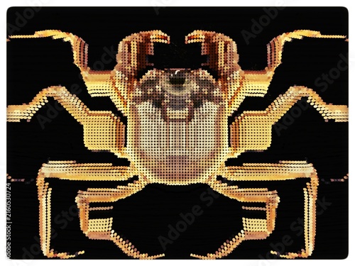 black and white crab , cyberpunk geometric abstraction animation 