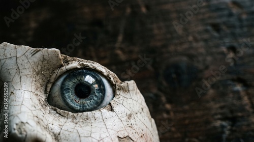 Macro of Broken Porcelain Doll Eye
