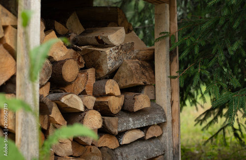 Stacked firewood stored in a rustic wooden woodshed surrounded by greenery in a rural forest setting. Natural firewood prepared for home heating and winter use.


