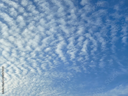 Quadro su tela ​Blue sky texture filled with white altocumulus clouds pattern background