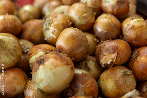 A bulk supply of large-sized yellow onions in a bin for sale at a farmer's market. The bulb vegetable has flaky layers of skin with light yellow, papery skin. The raw produce is translucent.