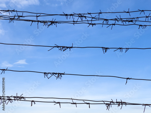 Canvastavla Barbed wire on fence with blue sky on background