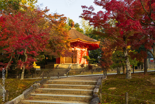 Bild auf Leinwand 日本の風景・秋　京都　紅葉の東福寺　愛染堂