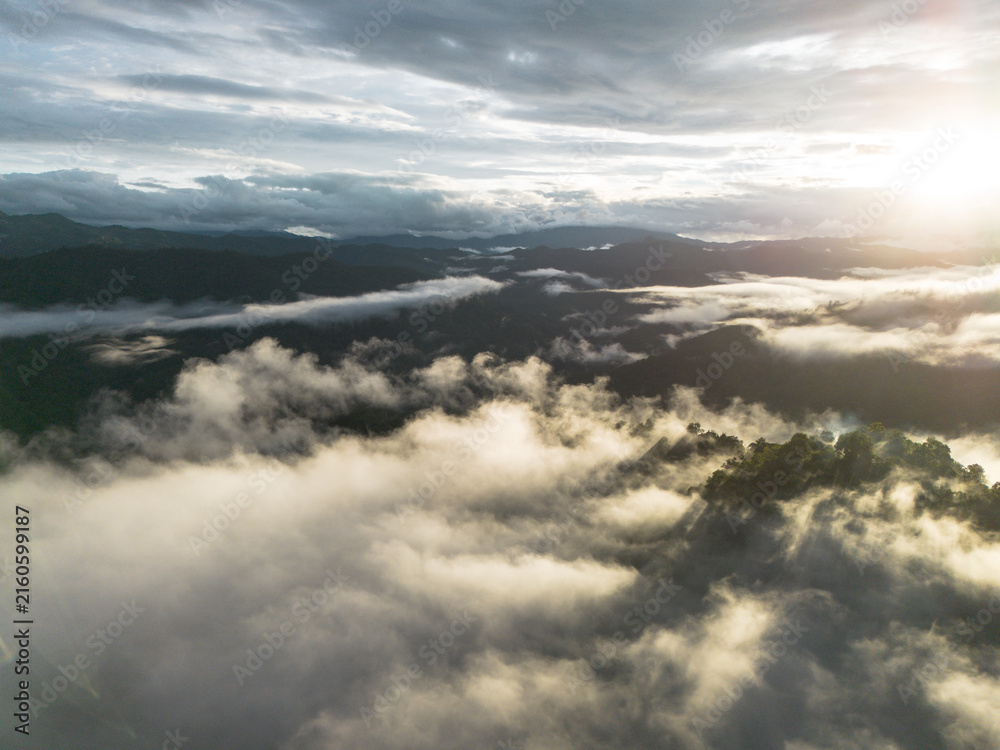 Fototapeta premium Misty mountain landscape, cloud layer, sunrise, forest, aerial view, dramatic sky