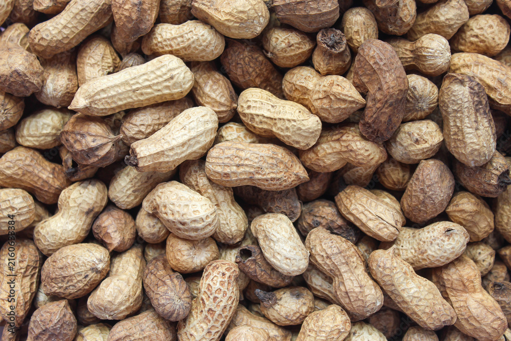 Obraz premium Whole Peanuts In Shell, Natural Texture Stack Background