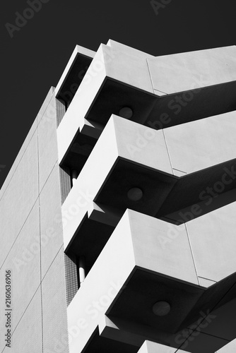 Abstract Black and White Japanese Modern Architecture