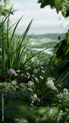 Alpine summer meadow