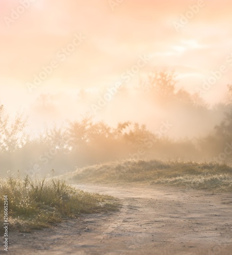Misty Country Dirt Road Through a Peaceful Meadow at Golden Sunrise, Atmospheric Fog, Soft Warm Light and Serene Countryside Landscape