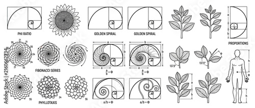 Foto Golden Ratio and Fibonacci Sequence Illustrations