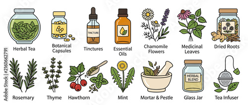 Herbal remedies and natural medicine ingredients collection