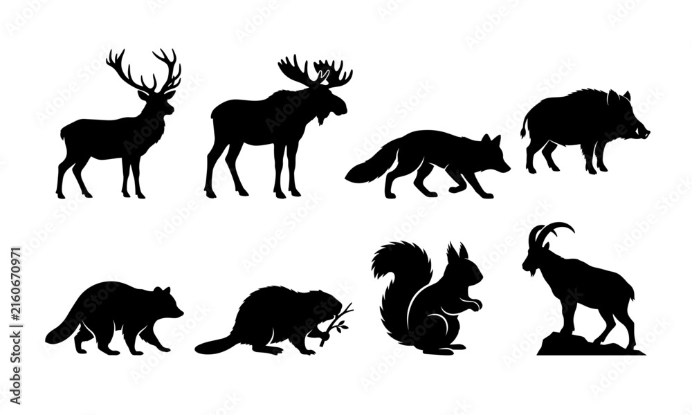 Fototapeta premium Black Wild Forest Animals Silhouettes Vector Set Isolated on White Background for Wildlife Designs