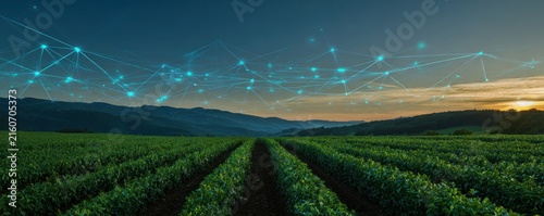 A sunset landscape of a green farm field with a glowing digital network connection above. Perfect for visualizing smart agriculture and sustainable tech solutions.