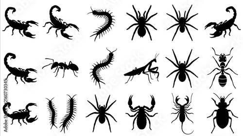 Detailed collection of black vector silhouettes featuring various insects and dangerous arachnids for creative graphic design