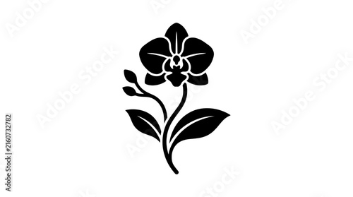 Orchid Flower Silhouette Vector Illustration