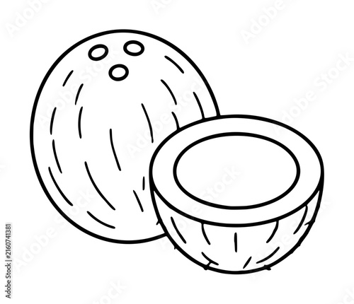 Hand-drawn vector icon illustration of a whole tropical coconut and a sliced open half coconut, featuring clean black outlines and minimalist line art style for food and beverage design projects.