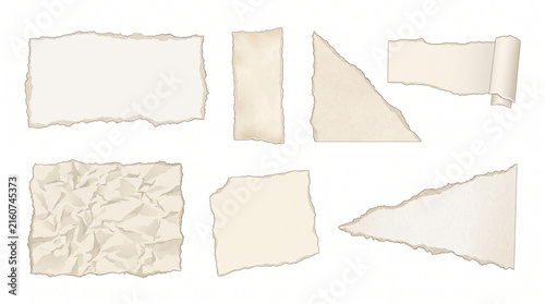 Realistic Torn Paper Scraps and Crumpled Sheets with Ripped Edges. Blank Notebook Paper Scraps, Vintage Notepad Fragments and Curled Paper Mockup Set. Empty Ragged Paper Pieces for Design Layouts.