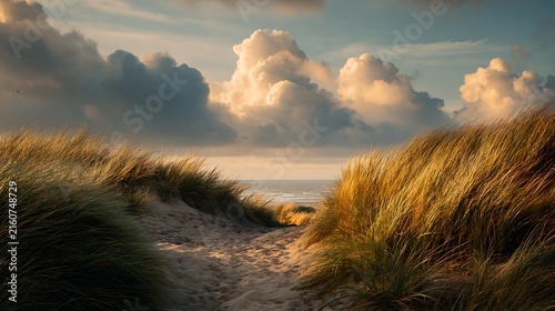 Coastal sand dunes under a pastel sunset sky