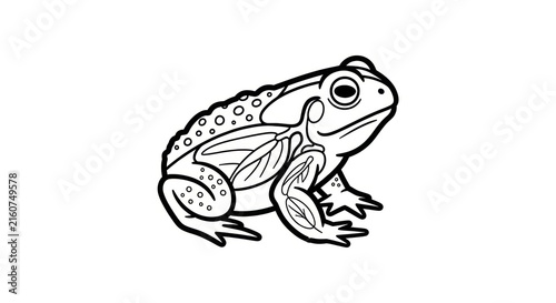 Foto Frog sitting on a branch looking right.