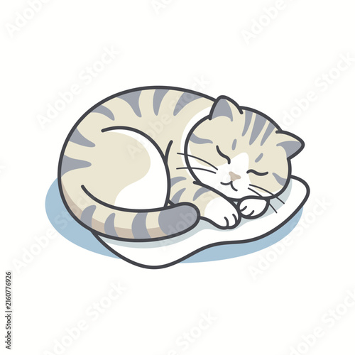 Sleeping grey tabby cat curled up on white cushion.