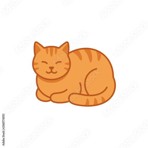 Sleeping orange tabby cat loaf on white background.