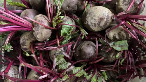 Top view of Beetroot fresh harvest. Bunch of freshly harvested raw beetroots close up. Organic vegetables autumn harvest. high angle, above, flat lay. background, backgrounds. 