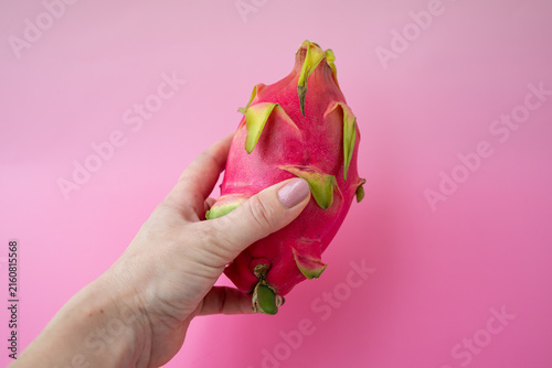 Obraz na płótnie Ripe red pitaya dragon fruit held upright against a pink background