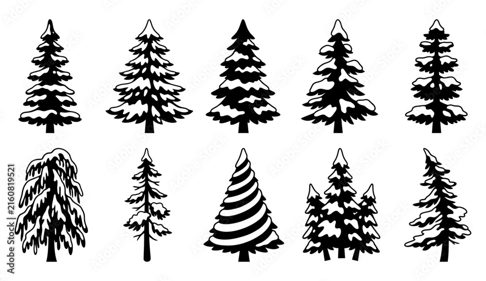 Obraz premium Collection of various black silhouette pine trees and evergreens on a white background