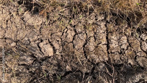 Close-Up view of Dry Cracked Soil – Parched Ground Surface with Severe Drought Cracks, Arid Desert Earth Under Intense Heat. Dry or cracked land soil. top view, high angle, above, flat lay. background
