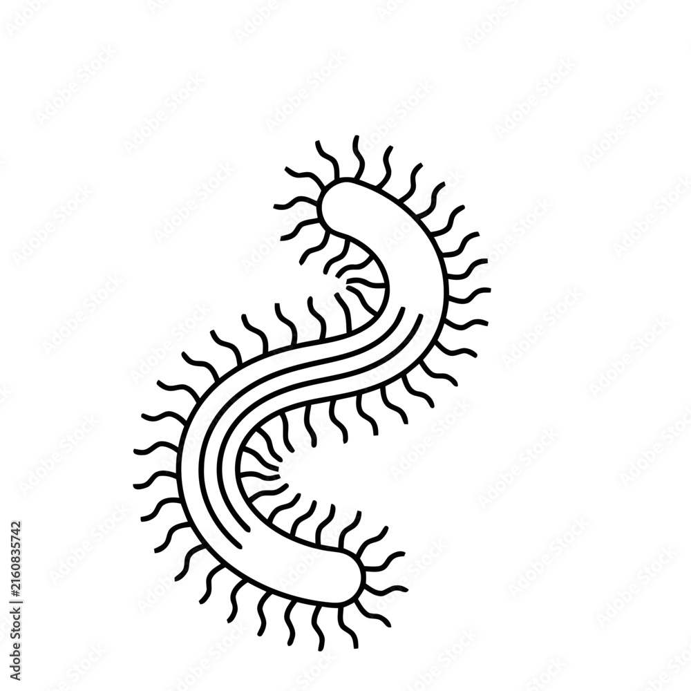 Fototapeta premium Line art of a bacterium with flagella