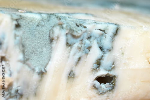 Bild auf Leinwand Close-up view of creamy gorgonzola blue cheese showing rich texture and mold