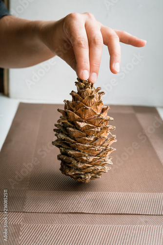 Hand holding a large pinecone on a brown table cloth for decor  