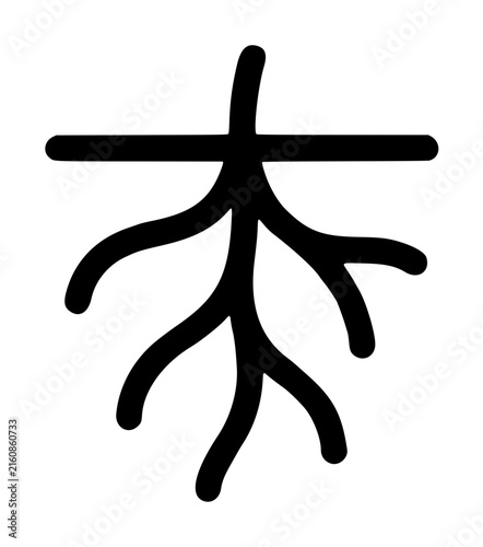 Foto Black and white vector icon illustration of branching roots spreading beneath a