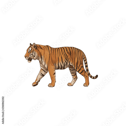 Quadro su tela Bengal Tiger